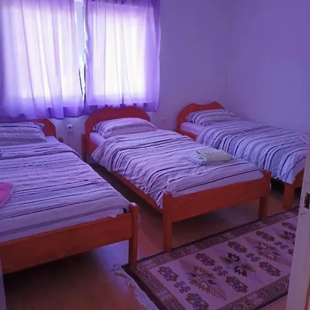 Home-vasva And Hazim Cukovi