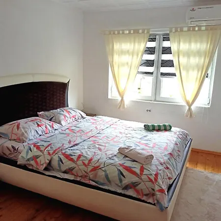 Home-vasva And Hazim Cukovi
