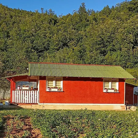 Home-vasva And Hazim *