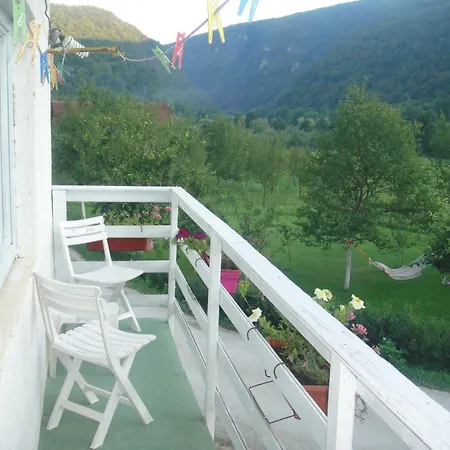 Home-vasva And Hazim