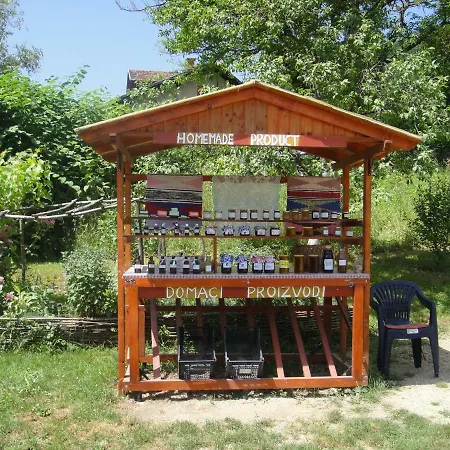 Home-vasva And Hazim * Ćukovi