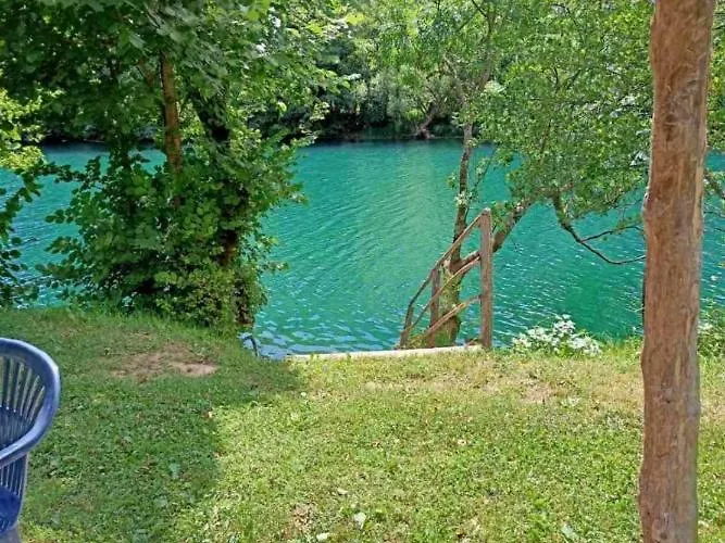 Home-vasva And Hazim