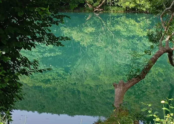 Home-vasva And Hazim Apartmán Cukovi