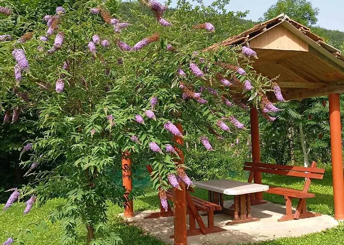 Home-vasva And Hazim *