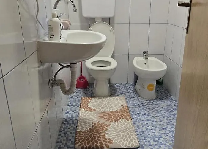 Home-vasva And Hazim Cukovi