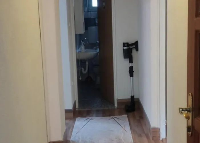 Home-vasva And Hazim Cukovi