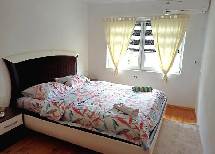 Home-vasva And Hazim Cukovi