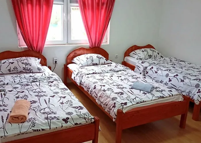 Home-vasva And Hazim