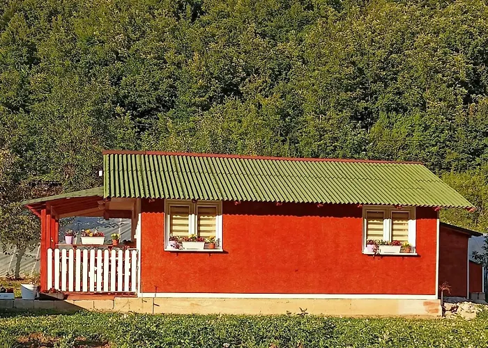 Home-vasva And Hazim *