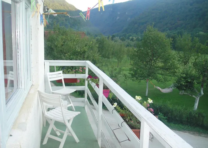 Home-vasva And Hazim