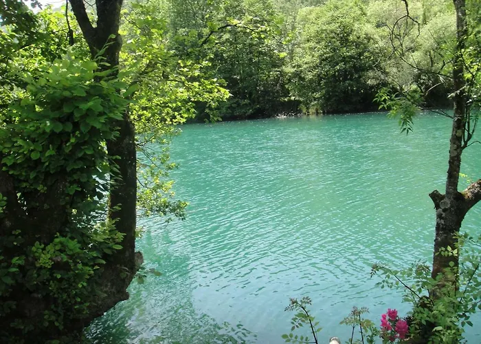 Apartmán Home-vasva And Hazim