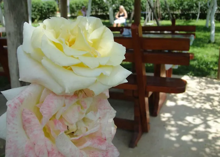 Apartmán Home-vasva And Hazim *